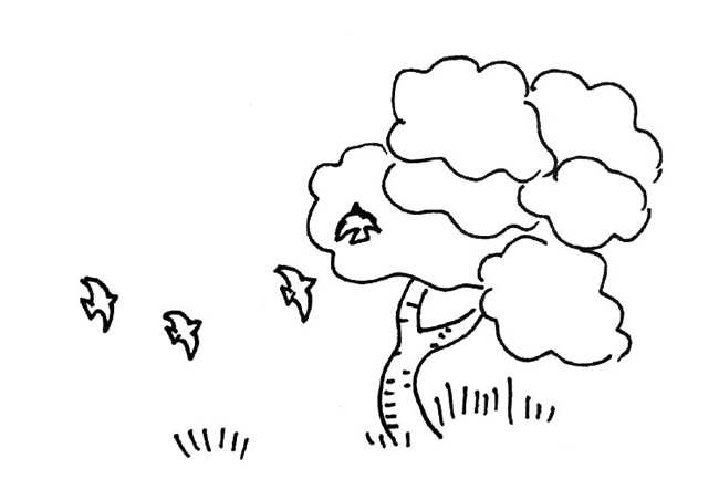 分享幾幅秋天的簡(jiǎn)筆畫(huà)