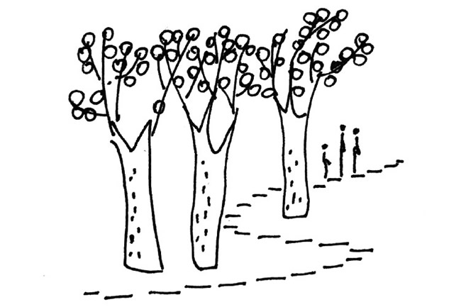 分享幾幅秋天的簡(jiǎn)筆畫(huà)