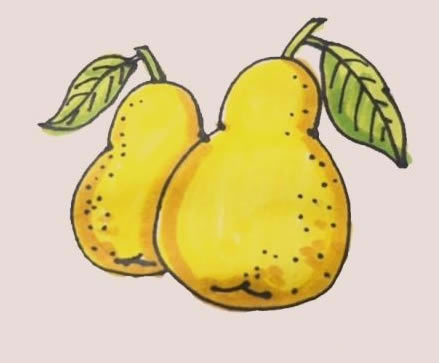 黃色的梨子簡筆畫