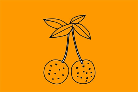 荔枝簡筆畫圖片大全