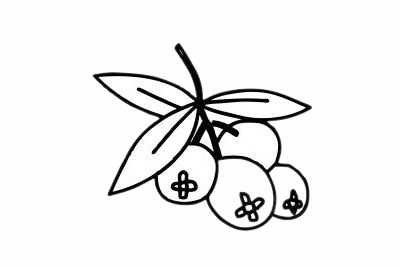分享幾幅關于山楂的簡筆畫