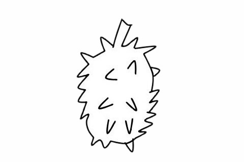 分享幾張關(guān)于榴蓮的簡(jiǎn)筆畫(huà)