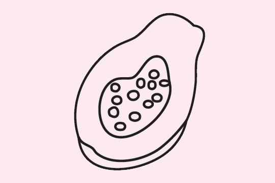 分享幾幅關(guān)于木瓜的簡筆畫