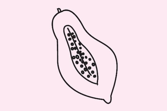 分享幾幅關(guān)于木瓜的簡筆畫
