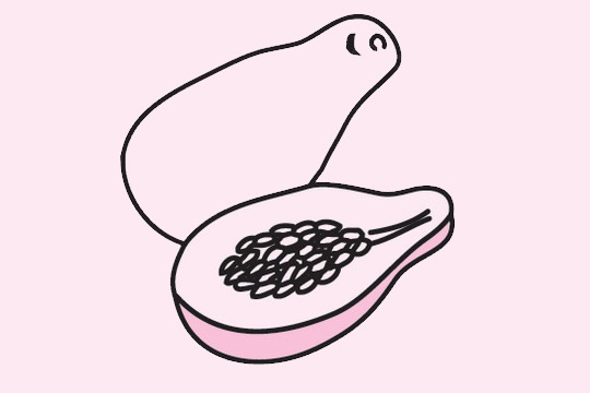 分享幾幅關(guān)于木瓜的簡筆畫