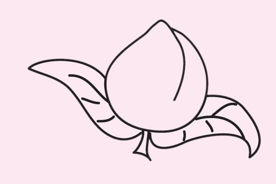 很容易畫的桃子簡筆畫