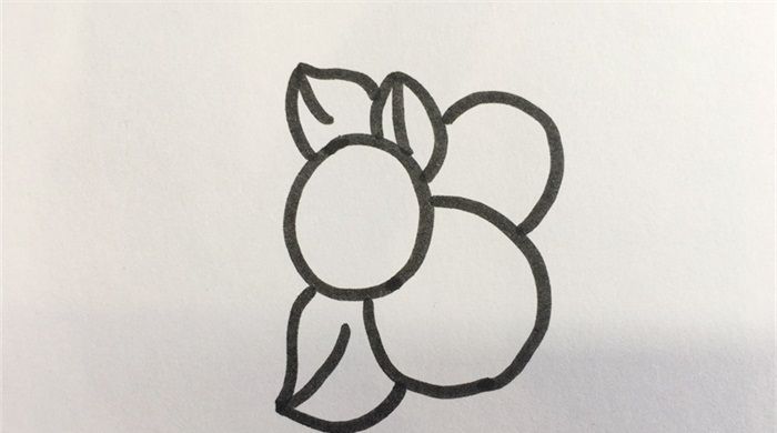 怎樣畫枇杷