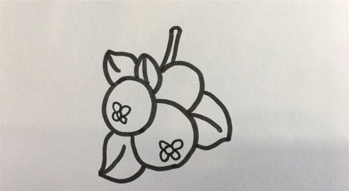 怎樣畫枇杷