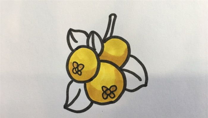 怎樣畫枇杷
