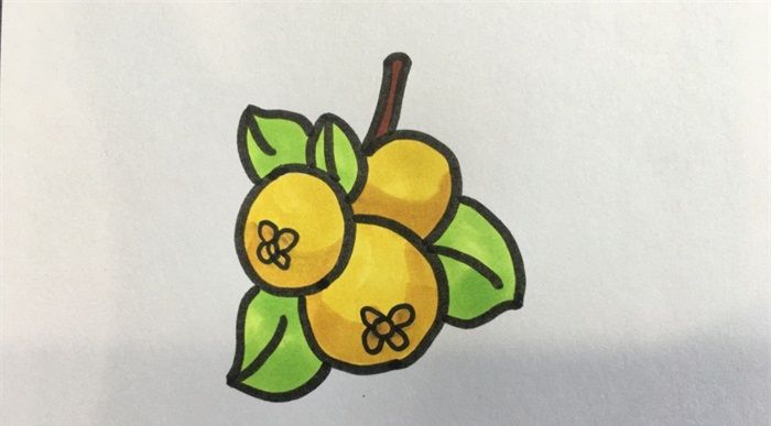 怎樣畫枇杷