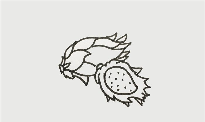 火龍果怎么畫
