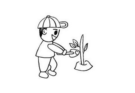 植樹節(jié)兒童簡筆畫詳細步驟