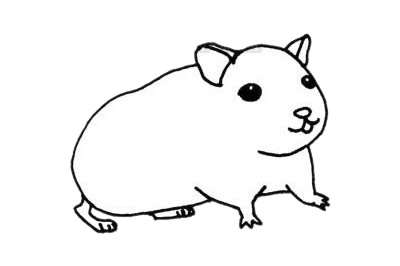 龍貓兒童簡筆畫
