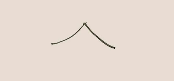 一大一小兩棵松樹的簡筆畫