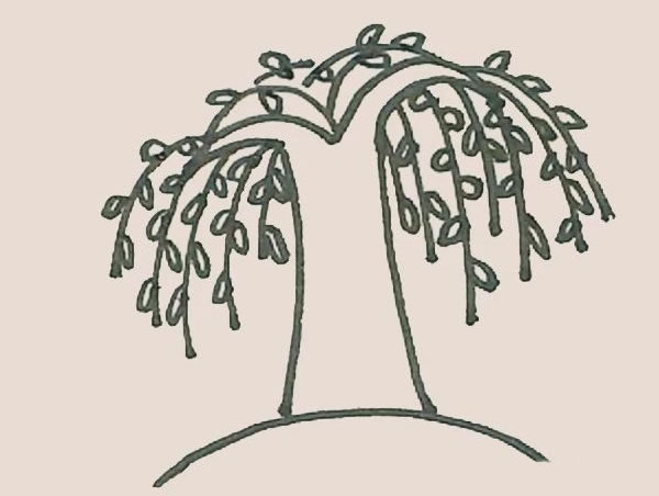 枝繁葉茂的柳樹簡筆畫
