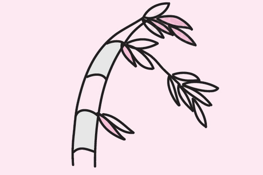 5款關(guān)于竹子的簡筆畫大全