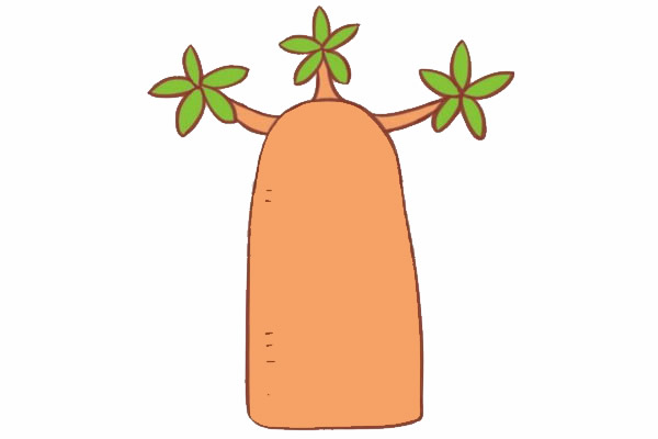 帶顏色的面包樹簡筆畫教程