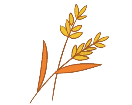 麥穗怎么畫簡單又好看