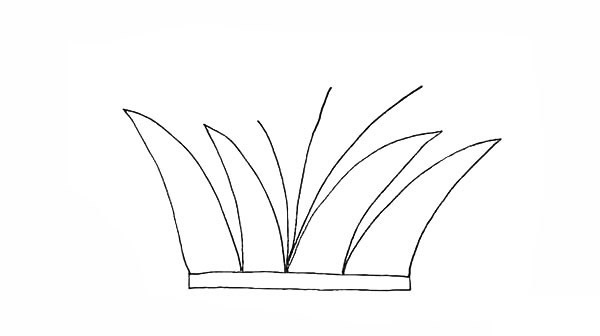 涂色的香蒲簡(jiǎn)筆畫(huà)教程