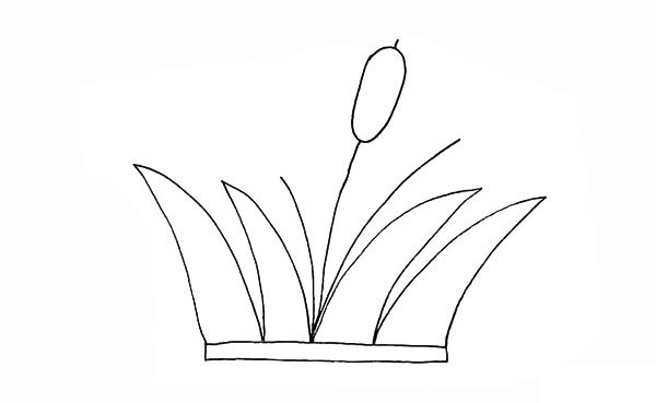 涂色的香蒲簡(jiǎn)筆畫(huà)教程