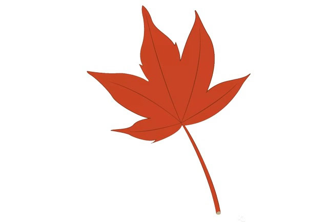 帶顏色的楓葉簡(jiǎn)筆畫怎么畫