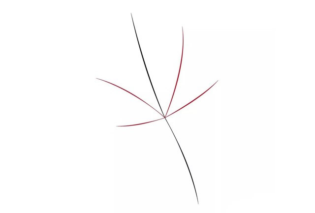 帶顏色的楓葉簡(jiǎn)筆畫怎么畫