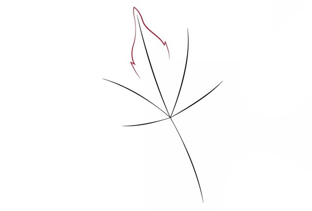 帶顏色的楓葉簡(jiǎn)筆畫怎么畫
