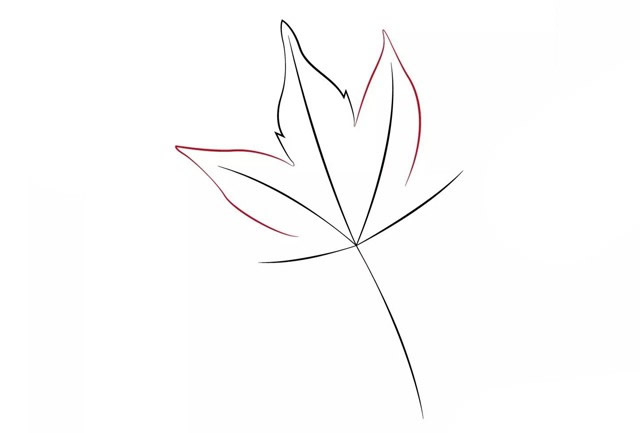 帶顏色的楓葉簡(jiǎn)筆畫怎么畫