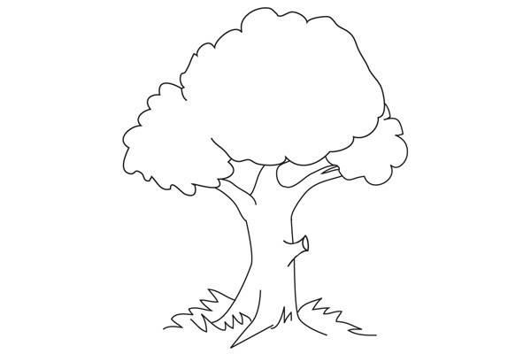 四步學(xué)會(huì)畫(huà)一顆簡(jiǎn)單的大樹(shù)