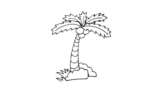 海島上的椰樹簡筆畫教程