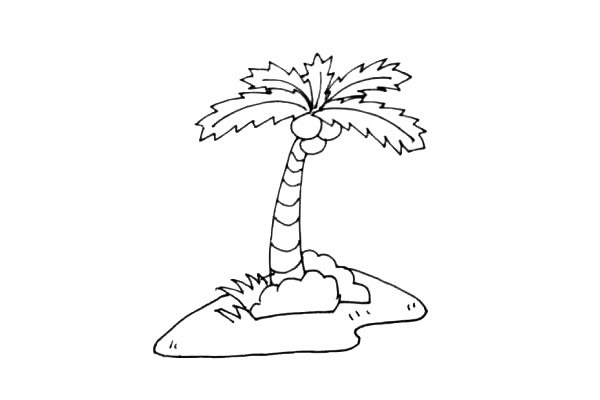海島上的椰樹簡筆畫教程