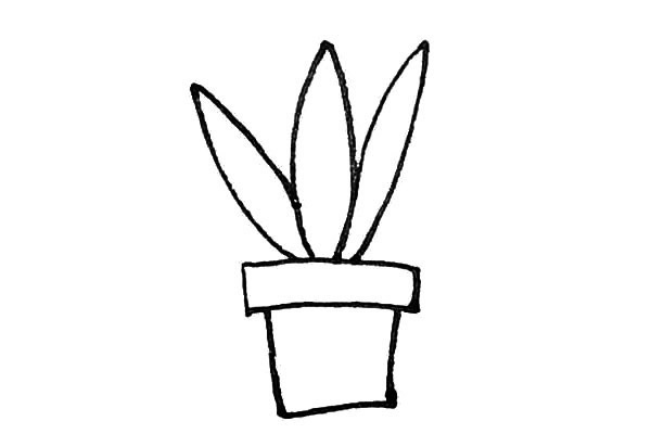 帶顏色的虎皮蘭簡筆畫步驟教程