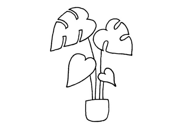 龜背竹簡(jiǎn)筆畫步驟教程
