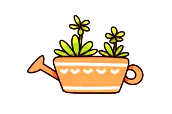 灑水桶多肉植物簡筆畫