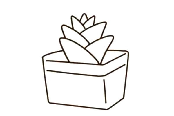 一步步教你畫多肉植物簡筆畫
