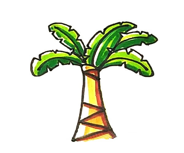兒童學畫芭蕉樹簡筆畫步驟教程