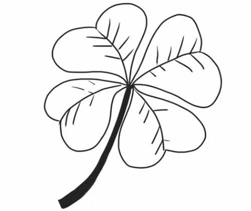 四葉草的詳細步驟教程