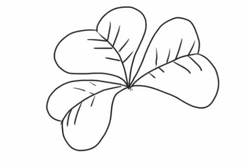 四葉草的詳細步驟教程