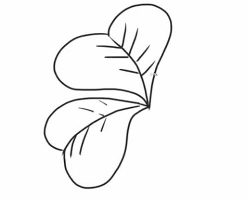 四葉草的詳細步驟教程