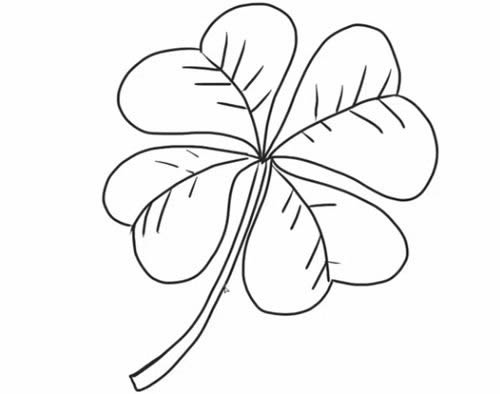 四葉草的詳細步驟教程