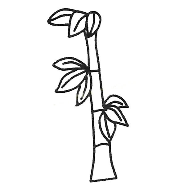 4款關于竹子的簡筆畫大全