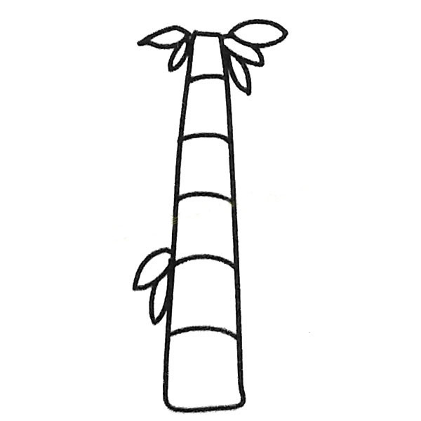 4款關于竹子的簡筆畫大全