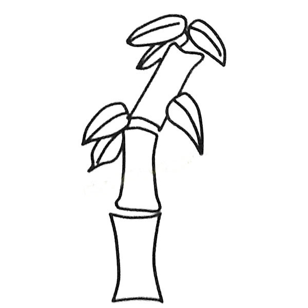 4款關于竹子的簡筆畫大全