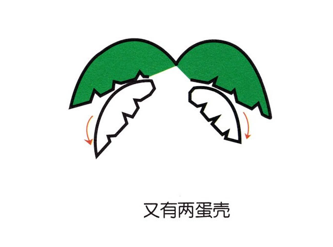 帶顏色的椰樹簡筆畫教程
