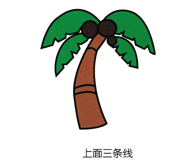 帶顏色的椰樹簡筆畫教程