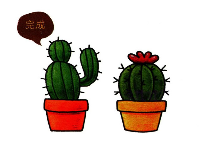 兩盆彩色的仙人球簡筆畫教程