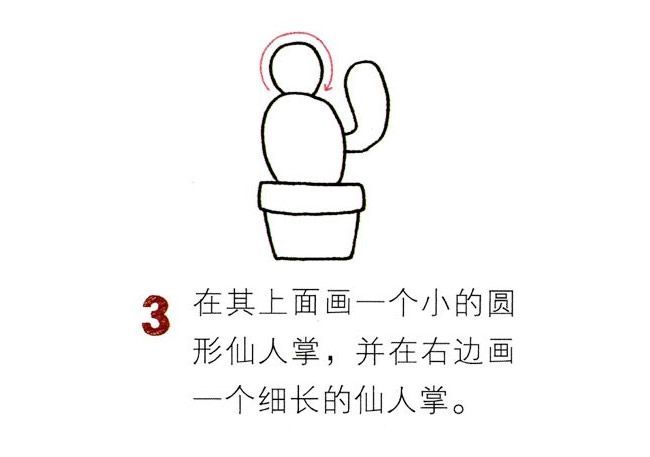 兩盆彩色的仙人球簡筆畫教程