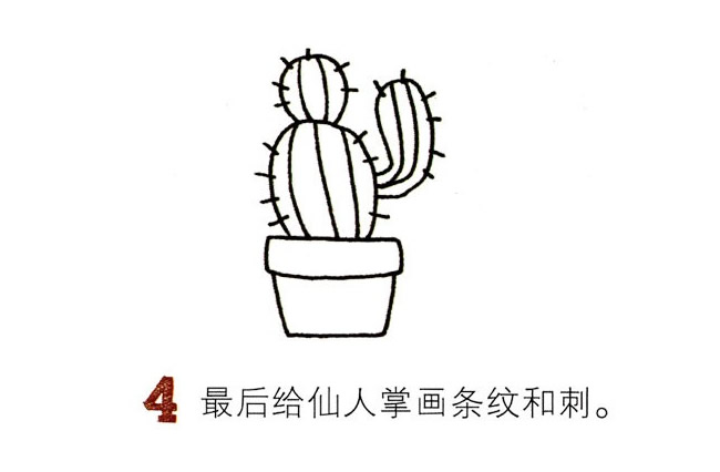 兩盆彩色的仙人球簡筆畫教程