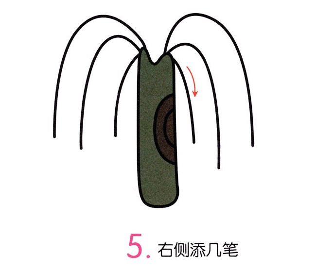 簡單涂色的柳樹簡筆畫