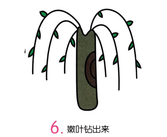 簡單涂色的柳樹簡筆畫